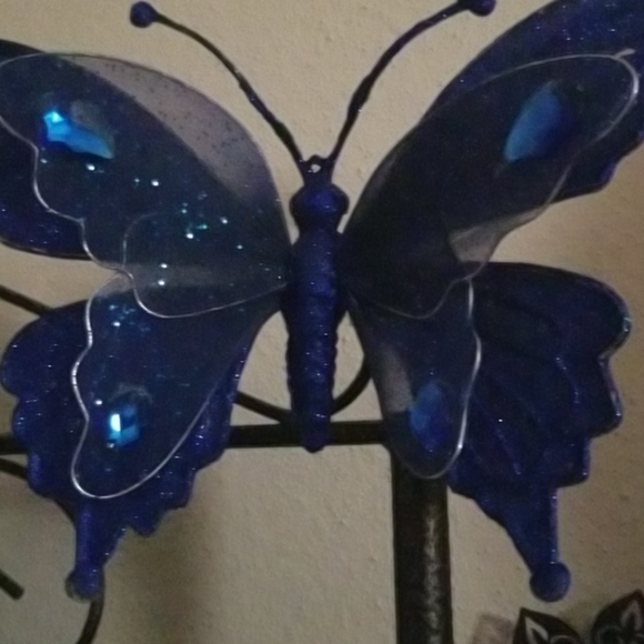 Meet your Posher, Lillian - Picture 7 of 16